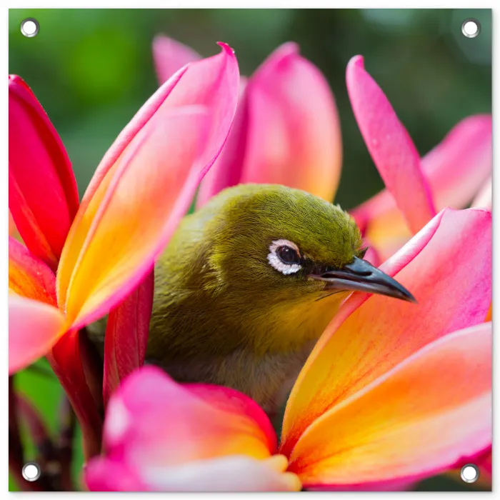 Tropische vogel tussen roze bloem tuinposter los doek klein -3d