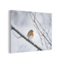 Roodborstje - Tak - Sneeuw - Winter - Levendig PET vilt klein -3d