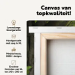Natuur - Water - Jungle - Bos - Tropisch canvas 2cm klein -zzzsfeer2_topdoek