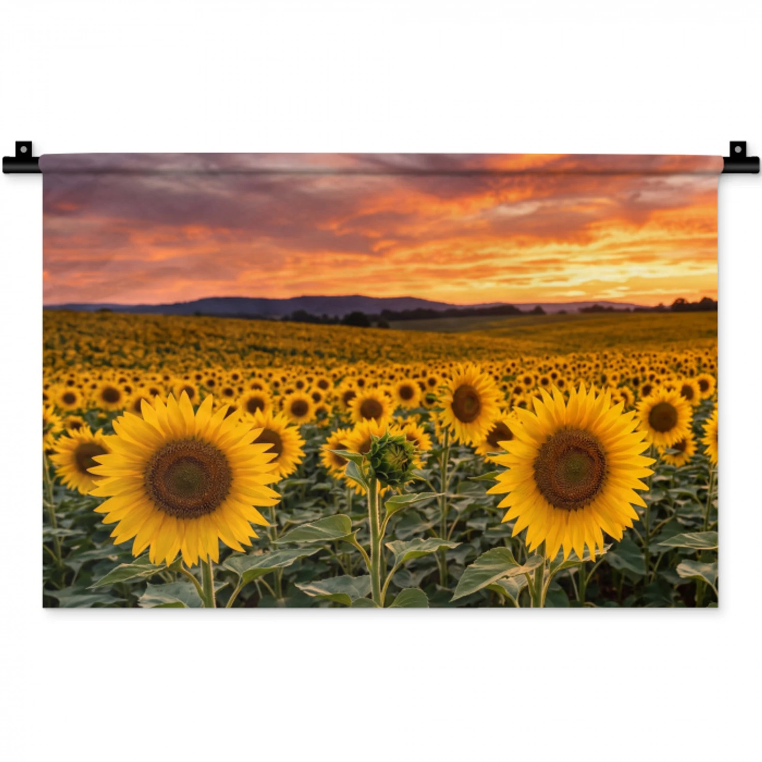 Zonnebloemen - Heuvellandschap - Geel Wandkleed katoen klein -zz3d