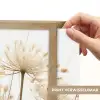 Bloemen - Wit - Zonlicht Light Box met batterij (Wandlamp) middel -USP_websiteprintNL