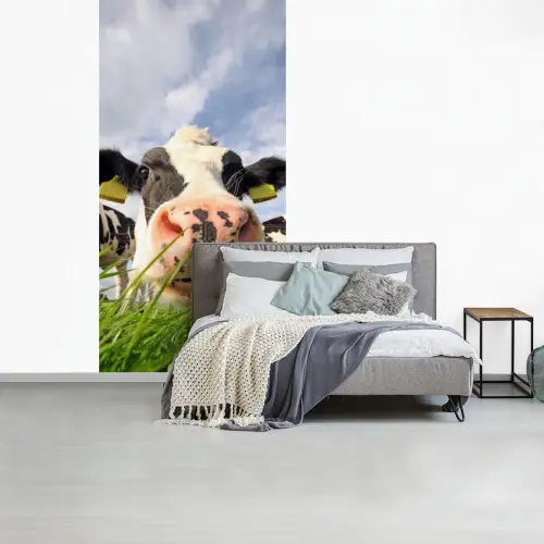 Koe - Boerderij - Gras - Dieren fotobehang vinyl groot -slaapkamer