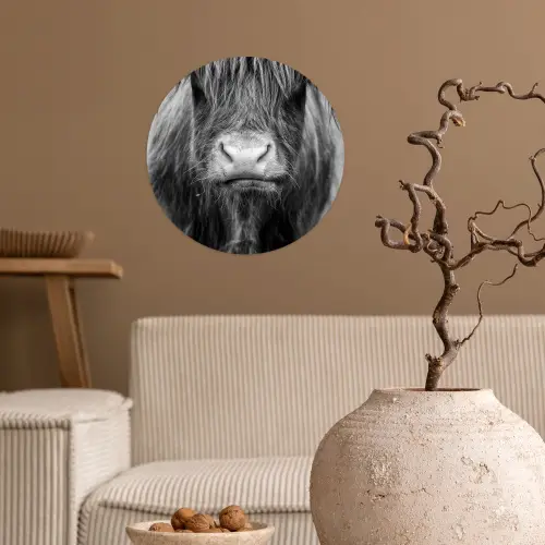Schotse hooglander - Koe - Zwart - Wit - Dieren Wandcirkel behangsticker klein -sfeer1