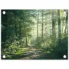 Bosweg in ochtendlicht tuinposter los doek klein -3d