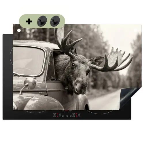 Eland - Auto - Gewei - Zwart - Wit Inductie beschemer met haakjes klein -3d