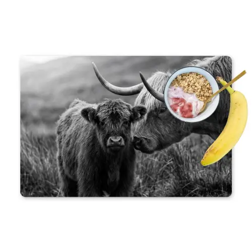 Schotse hooglander - Kalf - Zwart - Wit Placemat vinyl groot -zzzproduct_Kitchenyeah-website
