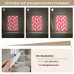 Softijs - Horentje - Roze Light Box met kabel (Tafellamp) klein 925 -USP_dimbaarDE
