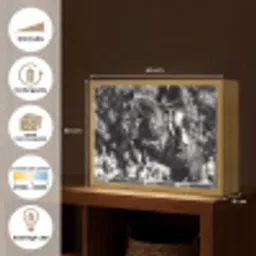 Springen - Paard - Zwart - Wit Light Box met batterij (Wandlamp) middel -USP_websiteoverzichtFR