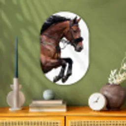 Paard - Springen - Modern Wandcirkel Ovaal Forex klein -sfeer2