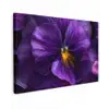 Paars - Viool - Diepte canvas 2cm klein -z3d