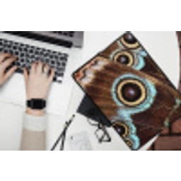 Vleugels - Vlinder - Blauw laptophoes neopreen klein -bureau
