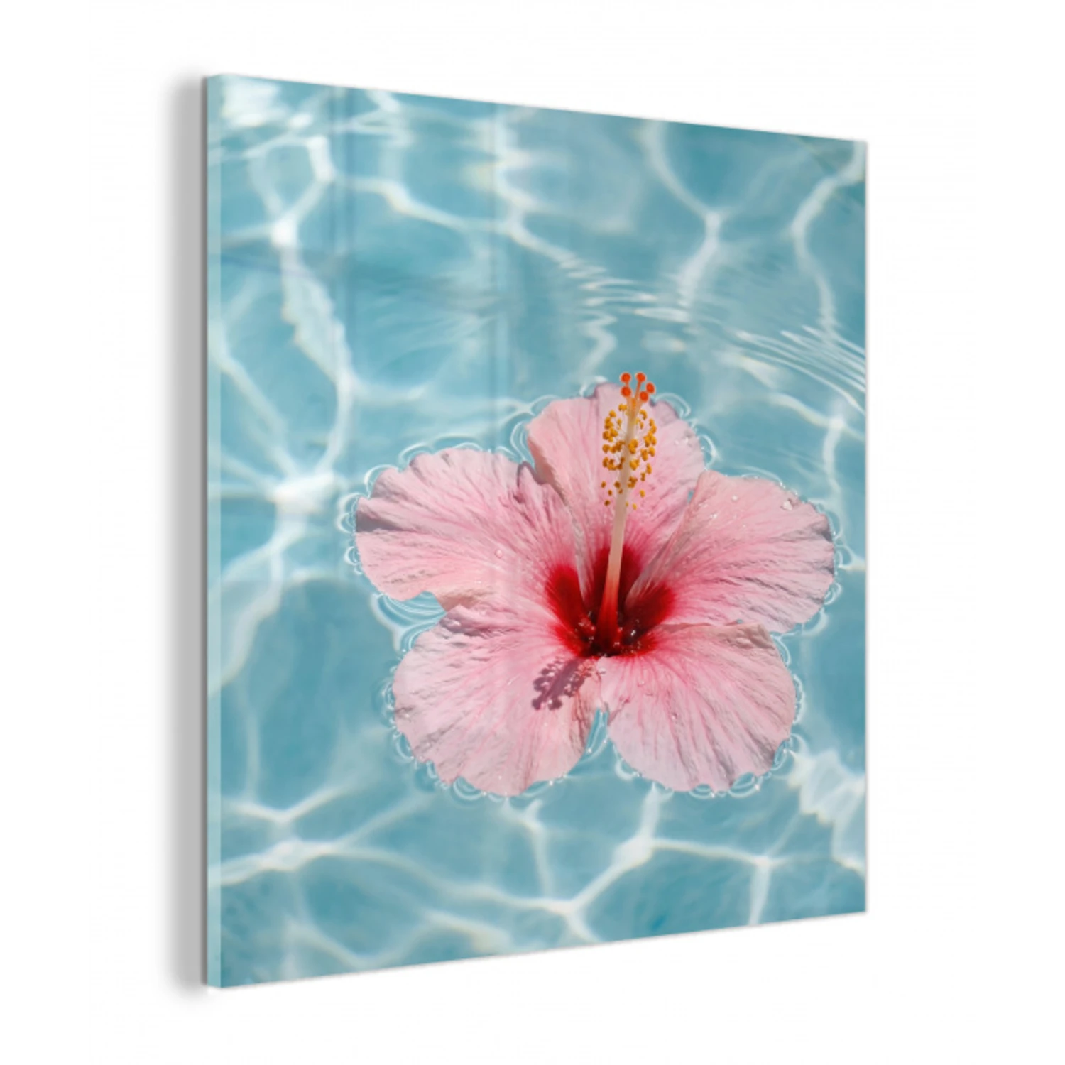 Hibiscus - Water - Roze plexiglas 5mm klein -z3d