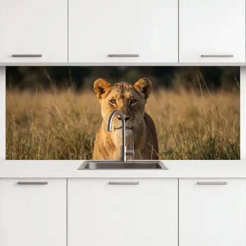 Leeuwin - Gras - Geel keuken achterwand 2 middel -3d