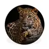 Wilde dieren - Panter - Portret - Zwart - Dieren Wandcirkel aluminium klein -3d