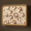 Kastanje Champignons - Beige Light Box met batterij (Wandlamp) middel -z3d_website