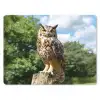 Uil - Boomstronk - Bos - Lucht muismat rubber klein -3d