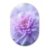 Paars - Dahlia - Dromerig Wandcirkel Ovaal Forex klein -3d