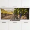 Druiven - Wijngaard - Zonlicht keuken achterwand 2 middel -3d