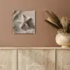Strand - Zeester - Zand - Beige plexiglas 5mm klein -sfeer5