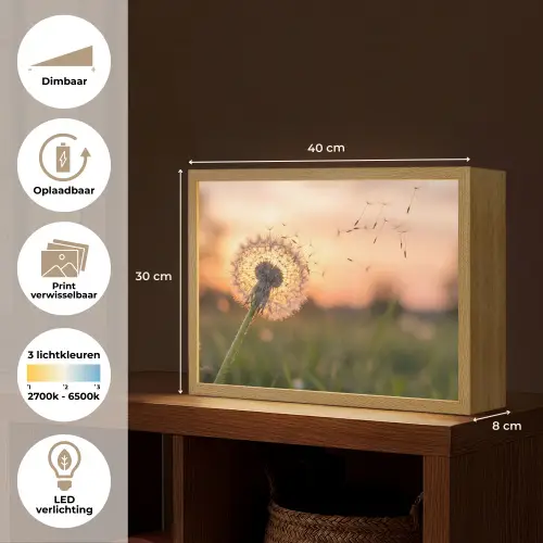 Paardenbloem - Zonsondergang - Veld Light Box met batterij (Wandlamp) middel -USP_websiteoverzichtNL
