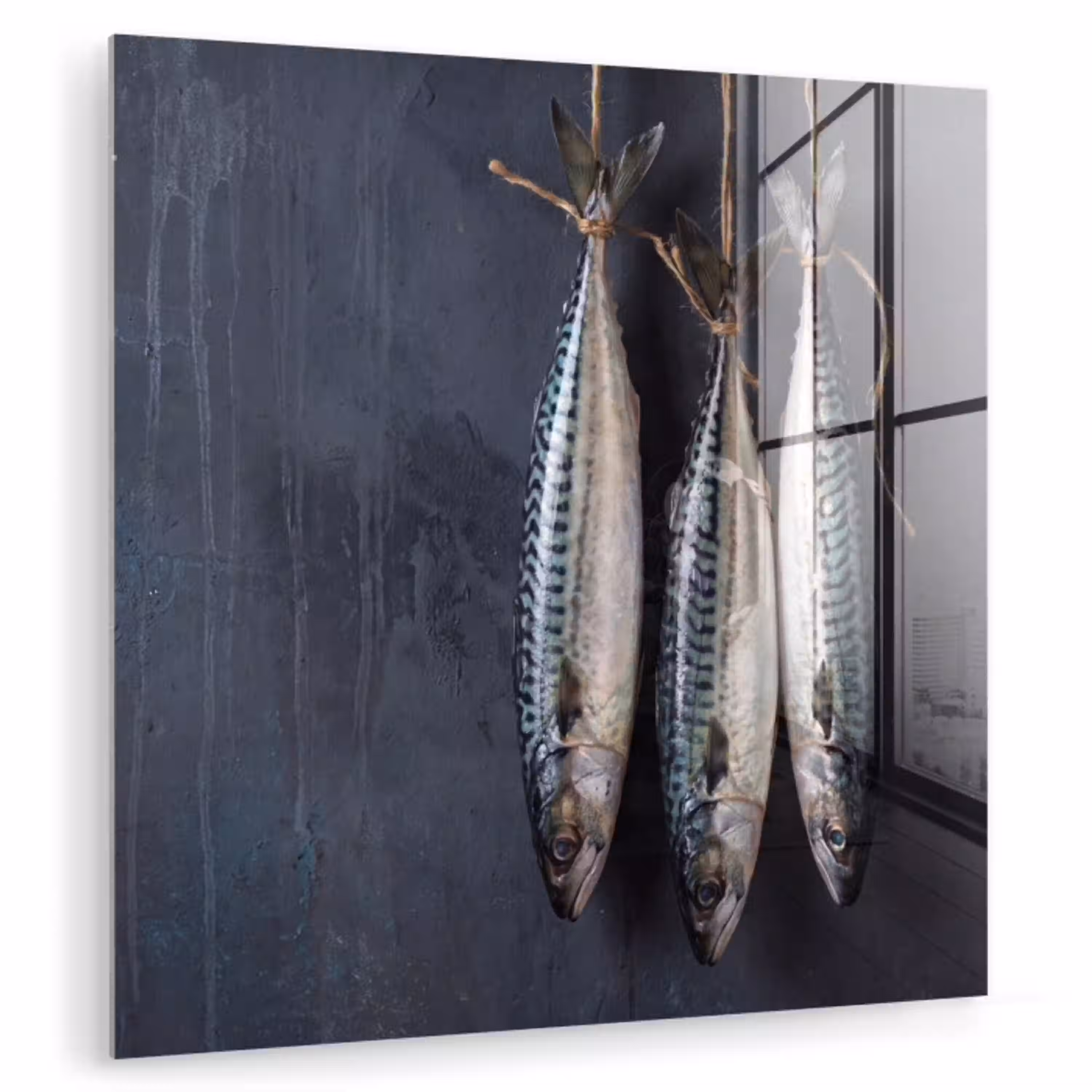 Drie vissen - Touw plexiglas 5mm klein -zzzproduct_nieuw