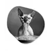 Sphynx - Kat - Dieren - Humor - Spaghetti - Zwart Wit Wandcirkel Organisch Aluminium middel -3d