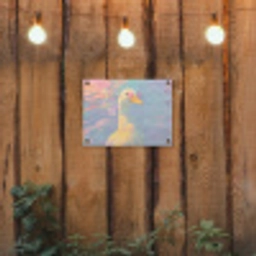 Eend - Zonnebril - Water tuinposter los doek klein -sfeer1