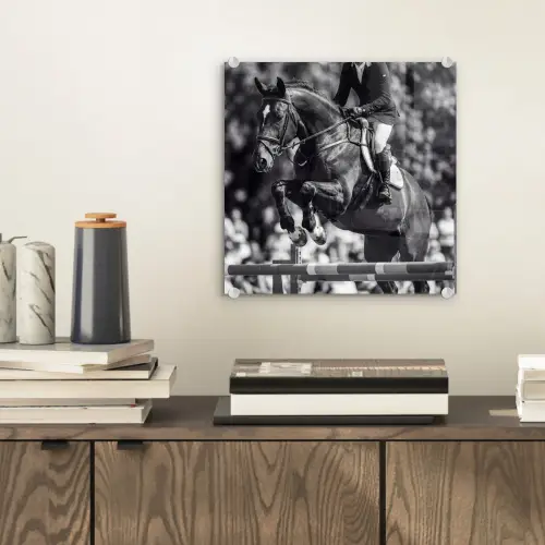 Springen - Paard - Zwart - Wit plexiglas 5mm klein -sfeer1