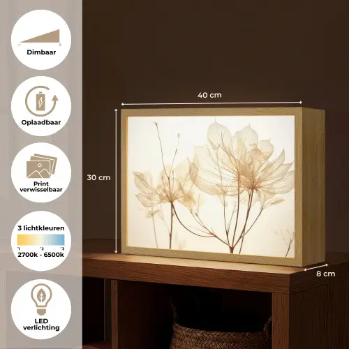 Droogbloemen - Beige - Planten - Wit Light Box met batterij (Wandlamp) middel -USP_websiteoverzichtNL