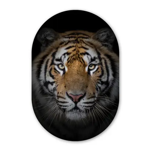 Tijger - Wilde dieren - Portret - Zwart - Dieren Wandcirkel Ovaal Forex klein -3d