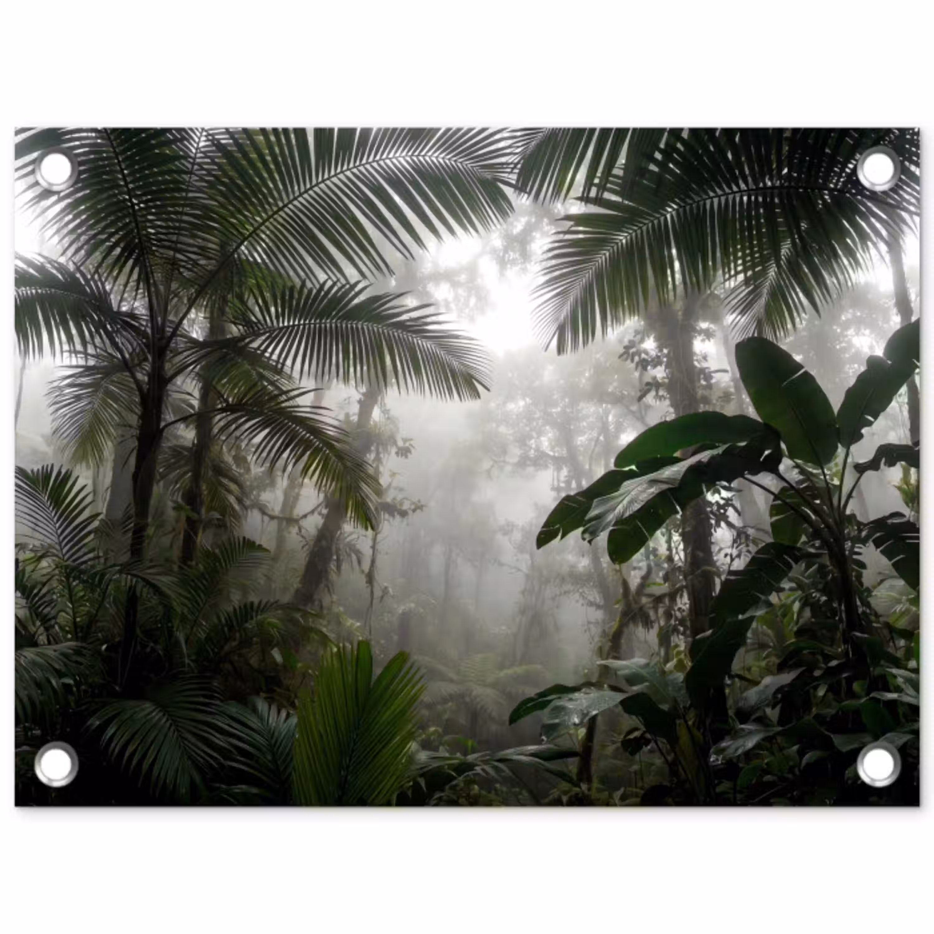 Natuur - Jungle - Mist - Groen - Bladeren tuinposter los doek klein -3d
