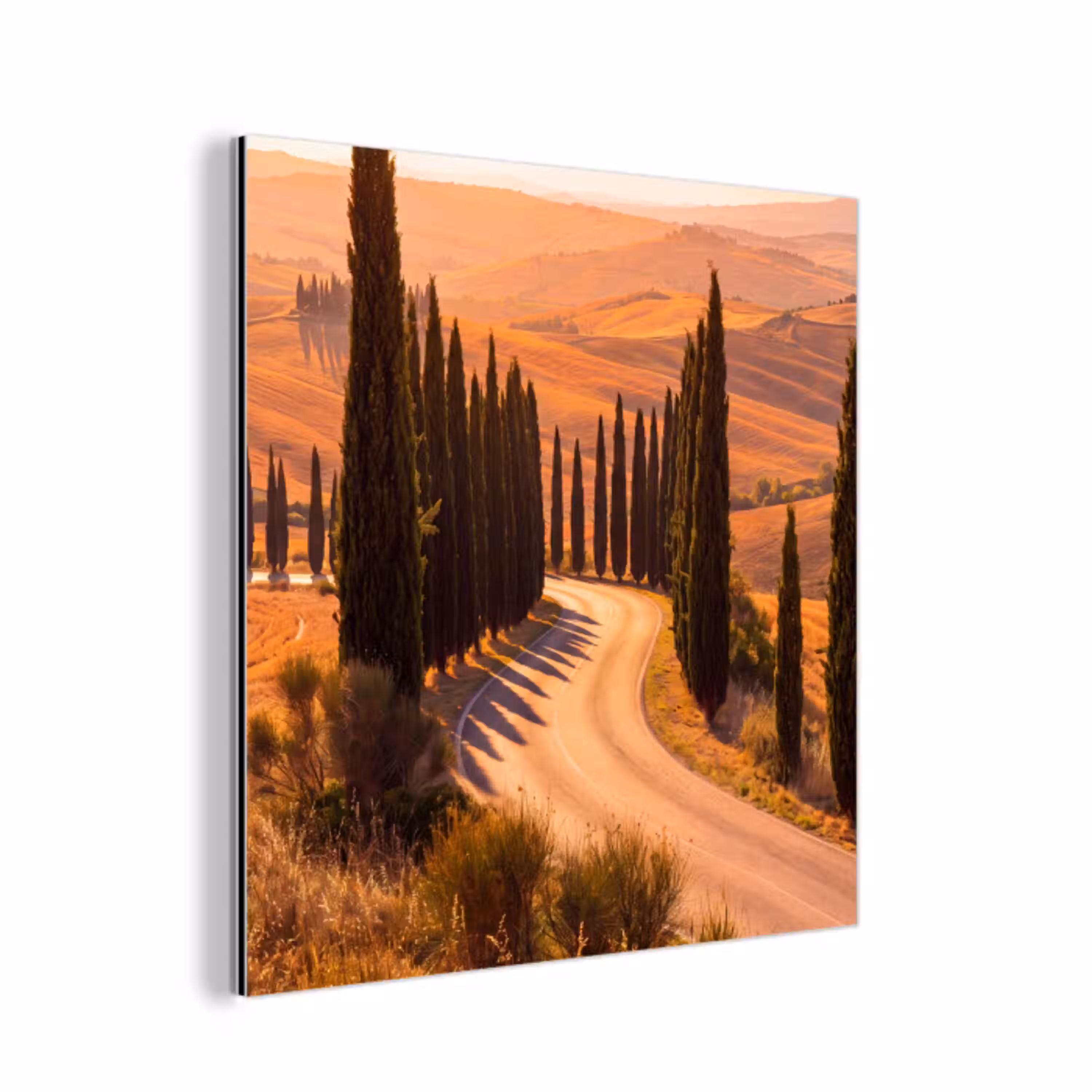 Landschap - Weg - Bomen - Natuur - Goud aluminium wit klein -3d