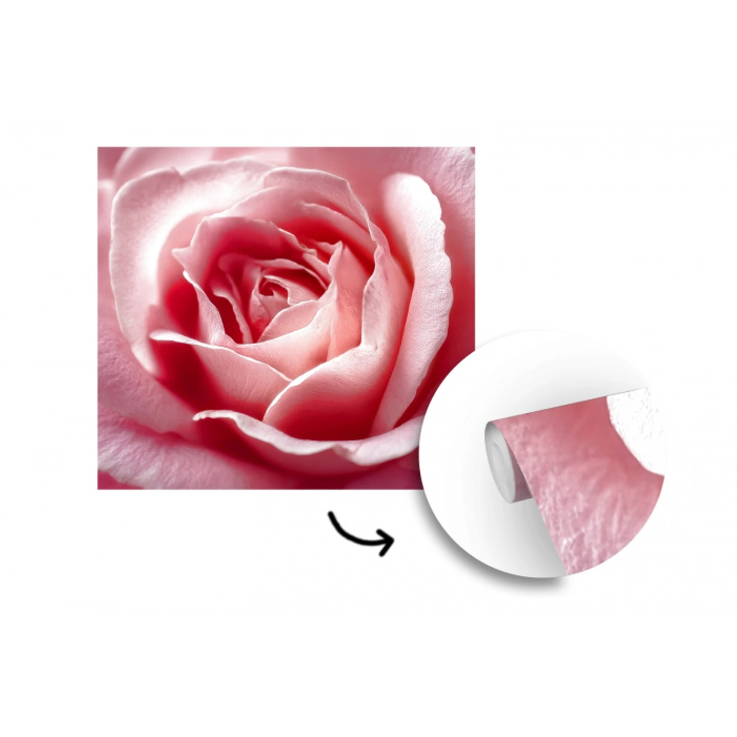 Roze - Roos - Romantisch fotobehang vinyl groot -3d
