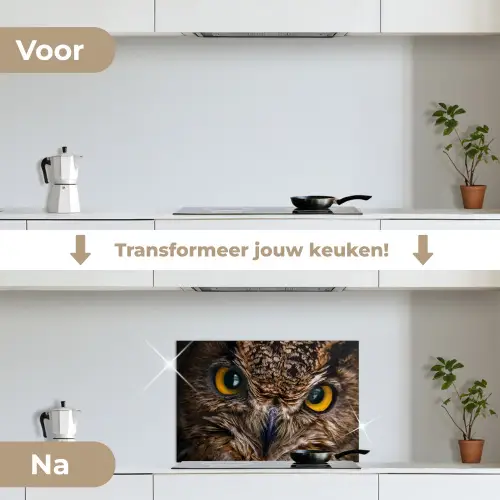 Uil - Dier - Oranje keuken achterwand spatscherm klein -voor_na_NL