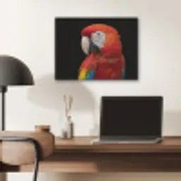 Ara - Portret - Rood PET vilt klein -sfeer5