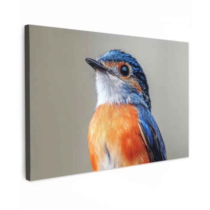 Kleurrijk - Vogeltje - Veren - Blauw Tuinposter op houten frame 2 cm dik klein -3d