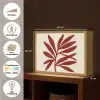 Tak - Bladeren - Rood Light Box met batterij (Wandlamp) middel -USP_websiteoverzichtNL