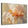 Close up - Oranje - Iris Textielframe - compleet frame klein -3d