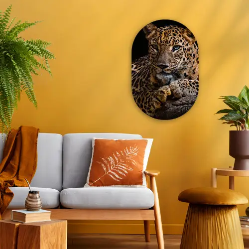 Wilde dieren - Panter - Portret - Zwart - Dieren Wandcirkel Ovaal Forex klein -sfeer4