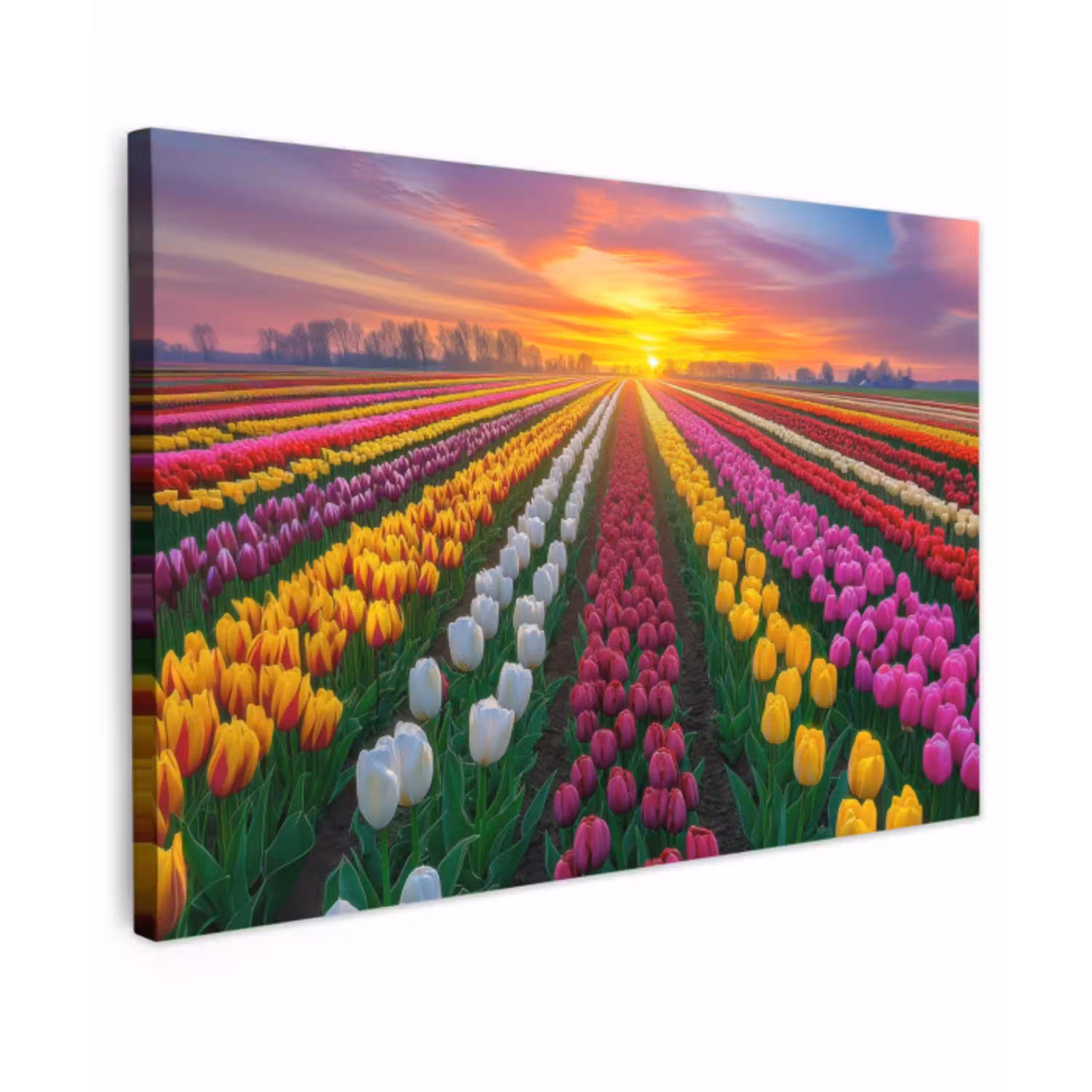 Tulpenveld - Zonsondergang - Kleurrijk Tuinposter op houten frame 2 cm dik klein -3d
