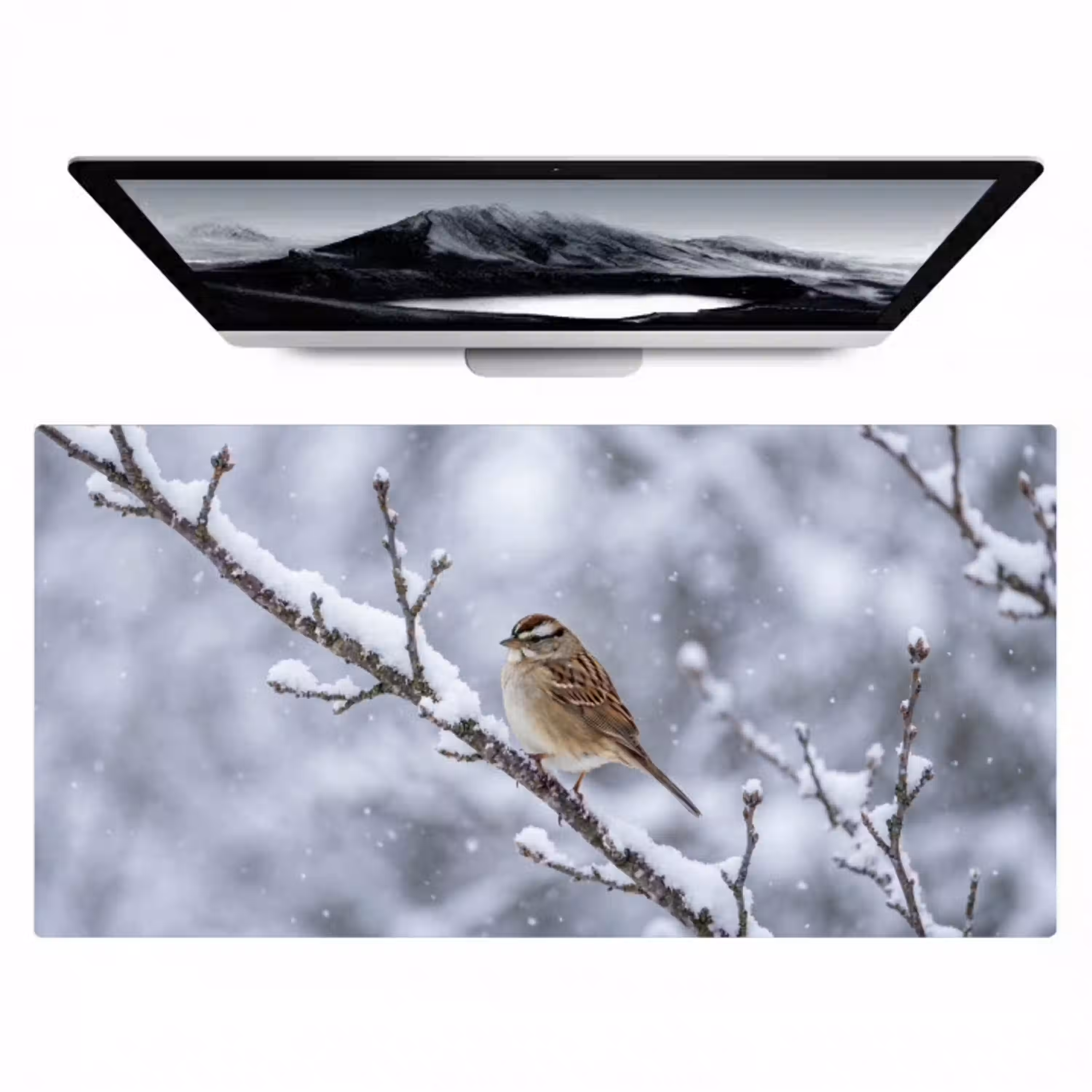 Vogel - Tak - Sneeuw - Winter Muismat XXL klein -zzz3d