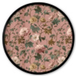 Bloemen - Klassiek - Roze Fotolijst rond zonder passe partout klein 856 -3d