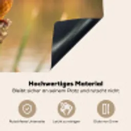 IJsvogel - Tak - Water - Kleurrijk - Levendig Inductie beschemer met haakjes klein -ky-onderkant-de