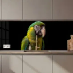 Ara - Portret - Groen keuken achterwand 2 middel zz_3dshopping