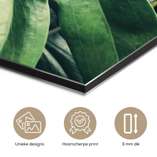 Inductie beschermer - Bananenblad - Tropisch - Jungle - Bladeren aluminium wit klein -closeup_NL