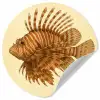 Strepen - Vis - Rond - Stekels Wandcirkel behangsticker klein -3d