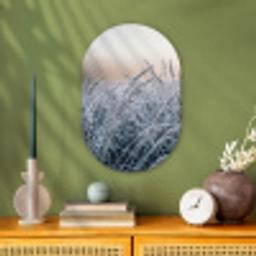 Rijp - Gras - Kristallen - Winter - Minimalistisch Wandcirkel Ovaal Forex klein -sfeer2