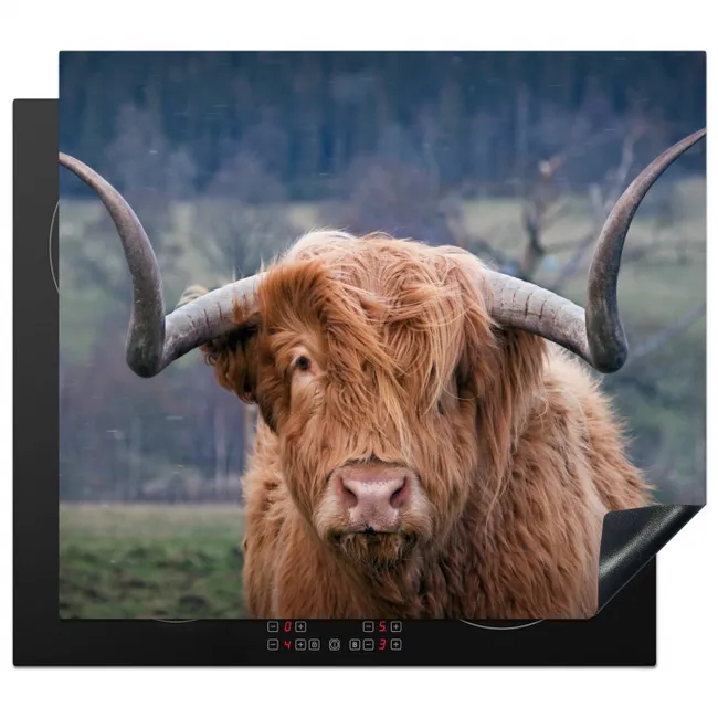 Heerser van het Hoogland Inductie beschermer vinyl 3mm middel -3d