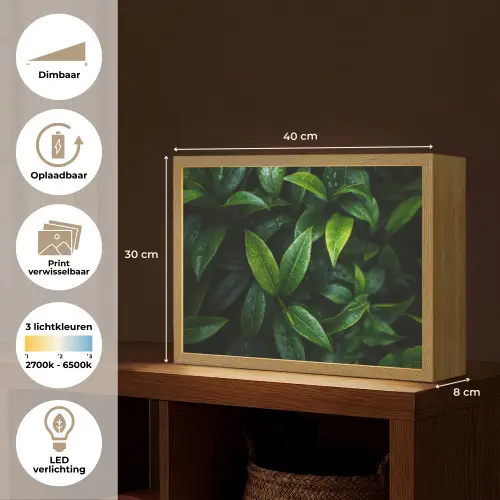 Bladeren - Regendruppels - Licht - Groen Light Box met batterij (Wandlamp) middel -USP_websiteoverzichtNL