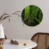 Jungle - Brug - Mos - Natuur - Tropisch Wandcirkel behangsticker klein -sfeer3